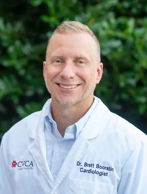Brett Boorstin, DVM