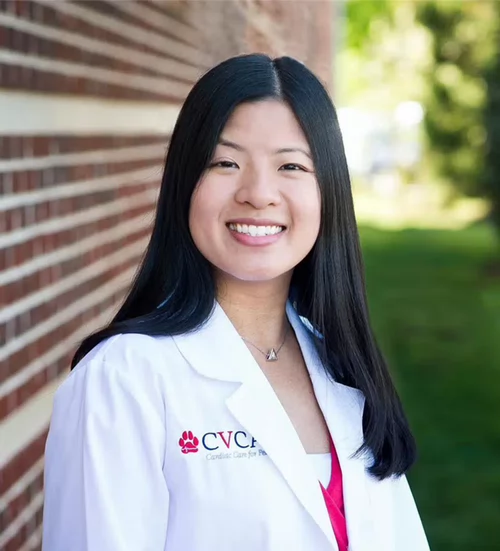 Julia Shih, VMD
